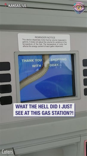 Snake found hiding inside gas pump | Bright Side