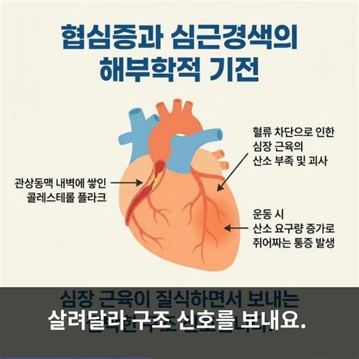 왼쪽 가슴 찌릿한 통증, 심근경색 협심증 초기증상 감별 및 원인 모를 흉통의 한의원 리모델링 치료