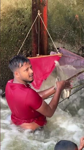 Catching Fish With Deep Net Sweep Technique in Village Backwater #Shorts