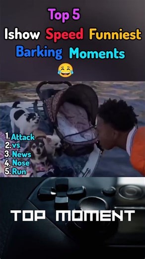 speed funniest barking moments #shorts #funny #moments