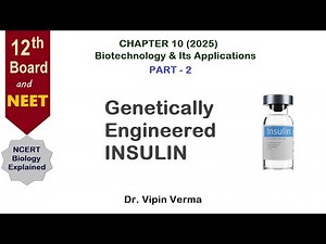 Biotechnology & Its Applications Part-2 I Genetically Engineered Insulin | Class 12 Bio NCERT Ch 10