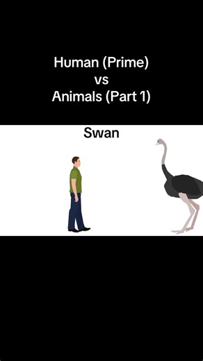 Human (Prime) vs Animals: Fascinating Comparisons
