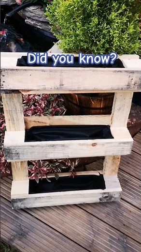 Make an easy planter from an old pallet #diyprojects #diy