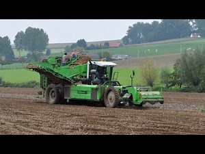 AVR Mistral - Patatten uitrijden in Kluisbergen