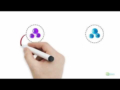 Full Spectrum Extracts Explained: The Closest You Can Get to the Whole Herb