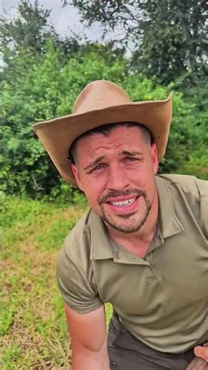 Tribal wisdom saved the Englishman from a deadly snake 🐍🌿