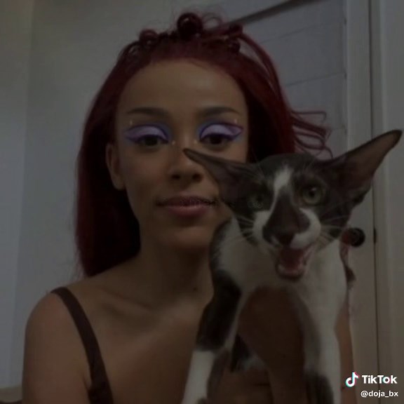 Exploring Doja Cat's Perfect Performance