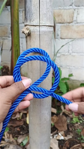 "The Easiest Knot You'll Ever Learn!" #knot #shorts #diy