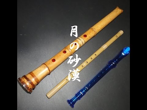 月の砂漠を尺八とギターで.wmv