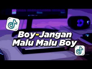 DJ BOY JANGAN MALU MALU BOY MALU MALU DIA REMIX FULLBASS | VIRAL TIKTOK