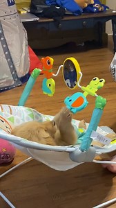 you made my day better.💞 | Dog lover