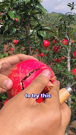 How To Open A Pomegranate Fruit | Giveitlove