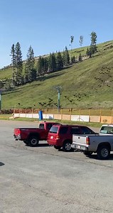 359K views · 1.8K reactions | Join our summer wildlife 歷 friends at Ski Apache! We are open for Zip-lining, 量 hiking,  biking and  Gondola scenic rides. Thursday through Sunday 9am to 4pm. | Ski Apache | Facebook