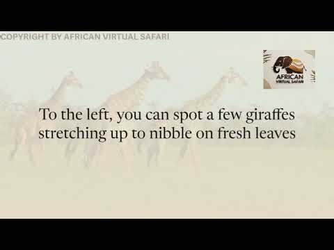 Virtual African Safari Adventure #africansafari #indiansafari #wildlife #safaritour