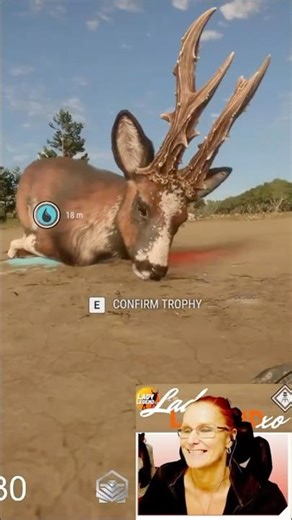 BOWHUNTING My 2nd GREAT ONE ROE From 14 Meters?!😱