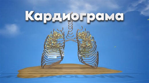 Стволовите клетки и апоптозата в съвременната медицина | Кардиограма - Евроком