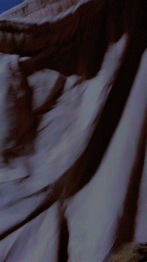 Vidéos de Alioune badara (@alioune.badara539) avec son original - Alioune badara