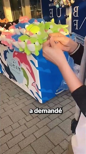 Il Pensait N’avoir Aucune Chance Avec Un Seul Papillon