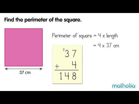 Perimeter of a Square