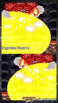 #CollectionData👾¡Felices 34 años Contra III!