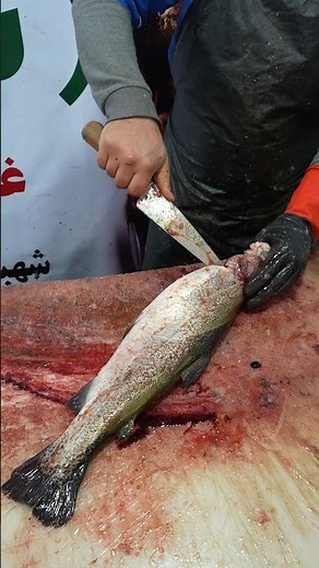How to Fillet Salmon for Delicious Meals Fast