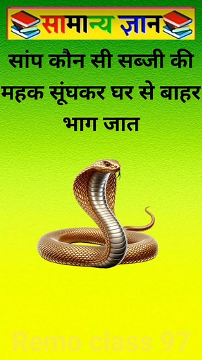 TOP 20 GK questions 100 GK Question and answer #gk #upsc #ssc #staticgk#gkfacts #gkquestion #ssccgl