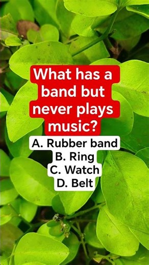 What has a band but never plays music?