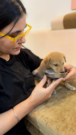 15K views · 6.3K reactions | Support at 8826257357 ramneek1517@dbs I...