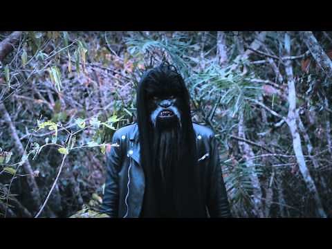 The Wookies - Daydream (Video Oficial)