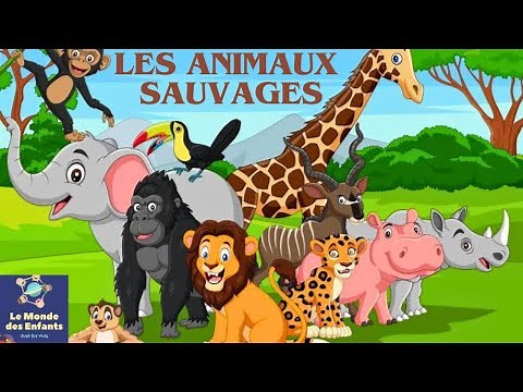 Les Animaux de la jungle🐒🐘 - Apprendre les Animaux de la savane 🐊🐻