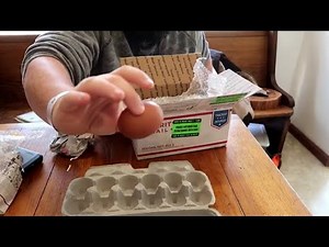 Our 5 Tips For Hatching Eggs (in a incubator)