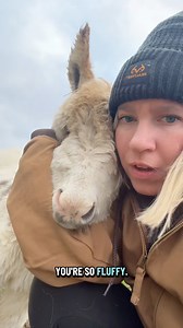 Something fluffy is attached to my leg… 😅 | Clutch of Color LLC