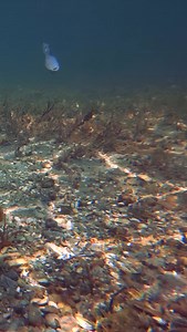 905 reactions · 19 shares | SMALL JAW couldn’t resist! ...