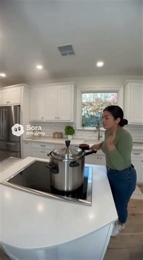 Pressure Cooker Explodes in Kitchen After Violent Shaking