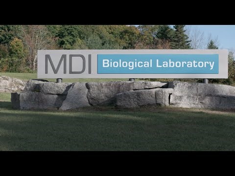 Welcome to MDI Biological Laboratory