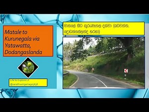 Road Trip, Matale to Kurunegala via Yatawtta, Dodangaslanda.🚗🚕🚗 #ExploreSriLanka #DriveThroughNature