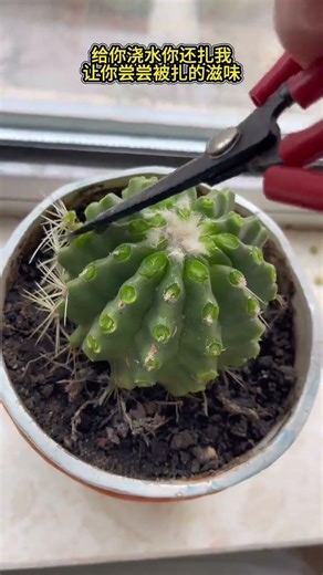 Let you taste what its like to get stabbed Thats just ridiculous