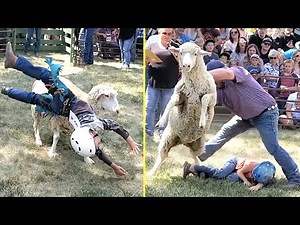 MUTTON BUSTING FAILS!