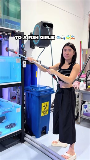 Setting Up a Hobby Aquarium: A Beginner's Guide