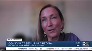 COVID-19 cases increase in Arizona