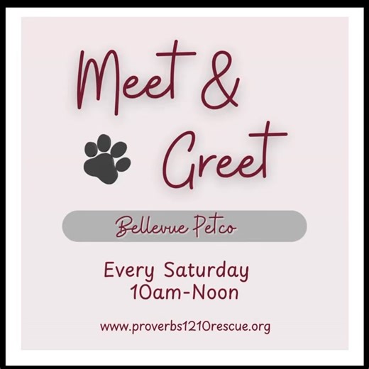 1.6K views · 24 reactions |  Home for the Holidays Starts Here! ...