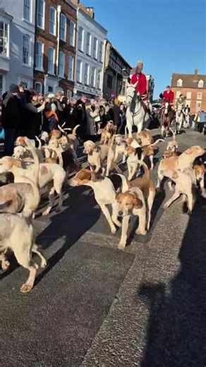 🎥 Almost two weeks on from one of the most well-supported Boxing Day meets in recent years, we’re still amazed by the turnout! Here’s a look back at the Ludlow Hunt, where people came out in their droves to show support for the hunting community. The countryside faces its greatest challenge for a generation, with a consultation on a full ban on trail hunting expected this year. We need your support now more than ever. Please consider donating to our Funding the Fight campaign today 👉 ca-campai