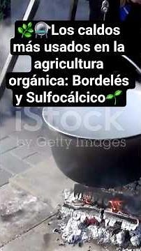 🧪 Cómo preparar Caldo Bordelés y Caldo Sulfocálcico paso a paso #nature #agriculturatropical #caldo