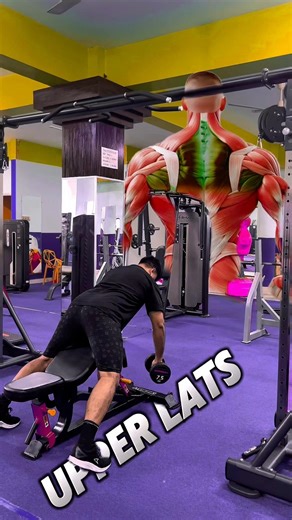 Full Back Workout with Dumbbells Only | Build a Wider Back #workouttips #musclegrowth
