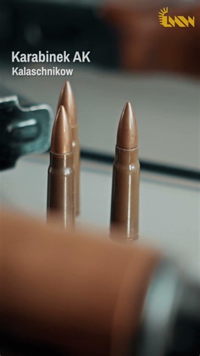 Karabinek AK