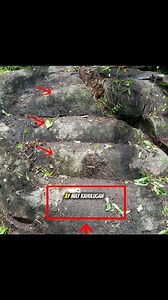 ang sekretong kahulugan ng markang hagdan base sa mga yamashita treasure hunters #fypageシ #fypシ #treasurehunt #thursday #treasurehunter #trend #YamashitaTreasure #treasurehunting #localevent #treasure #throwback | Philippines treasure hunters