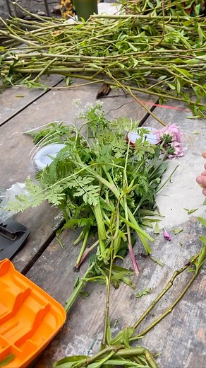 What a fabulous Beltane Celebration Beltane is a Pagan holiday, and...