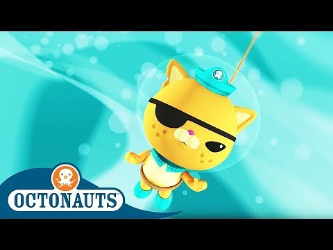 Octonauts - Lieutenant Kwazii | Cartoons for Kids | Underwater Sea Education