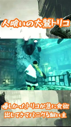 急に捕食対象にされてパニック #ゲーム実況 #人喰いの大鷲トリコ #実況