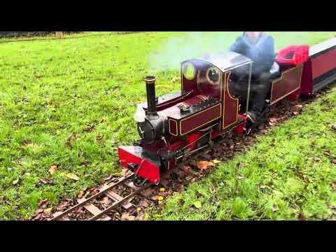 A few locos get together#railwaycontent#train#railway#travel#livesteam